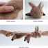 Fuzzwoof No-Stuffing Bunny Squeaky Dog Toy, Cute Plush Puppy Teething Toy to Keep Them Busy, Rabbit Interactive Tug