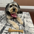 SPOT Bam-Bones Bone, 7.25in, Chicken Flavor - Durable Bamboo Fiber Dog Chew for Light to Moderate Chewers under 40lbs