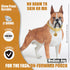 Dog Chain Collars Gold Dog Collar 10mm Cuban Link with CZ Diamond Buckle Bling for Puppy Small Medium Large Dogs (24")