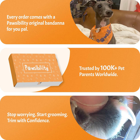 2026 2-Stage Pawsibility Pet Nail Clipper PRO - Quick-Vision LED Light | Adjustable Professional-Grade Blade |
