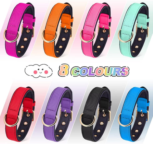 Didog Waterproof Dog Collar with Soft Padding, Lightweight and Breathable for Medium Dogs, Black, Large
