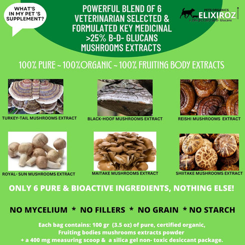 MAXIMUM IMMUNITY: >25% ß-glucan 100% Mushrooms Extracts for Dogs & Cats, Immune & Digestive Support, 250 SERVINGS
