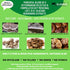 MAXIMUM IMMUNITY: >25% ß-glucan 100% Mushrooms Extracts for Dogs & Cats, Immune & Digestive Support, 250 SERVINGS