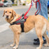Frienda Emotional Support Dog Leash, Reflective ESA Leash with Waterproof Neoprene Handle for Service Dog Vest