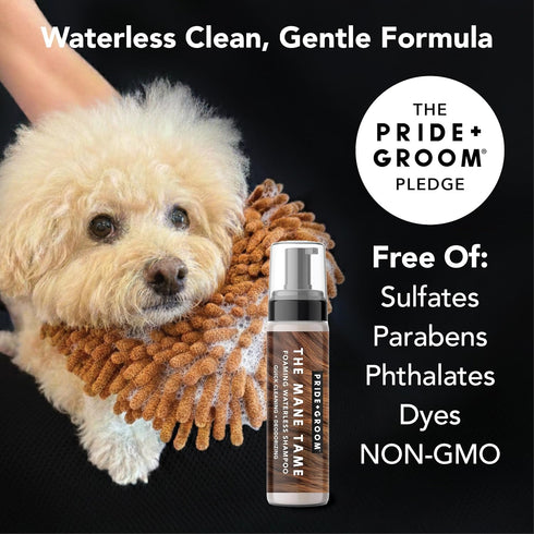 Pride and Groom THE MITT KIT: A Waterless Bath for Dogs - Foaming Dry Shampoo and a Pet Sensitive Glove for a Rinse