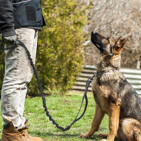 rabbitgoo 6FT Tactical Dog Leash, Black Military Bungee Dog Training Leash with 2 Padded Control Handles for Medium