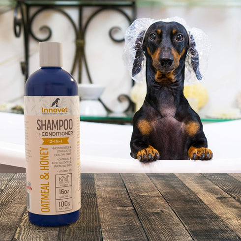 Innovet Pet Products All Natural Oatmeal & Honey Shampoo + Conditioner for Dogs, Cats & Small Pets - 16 Oz, Made in USA