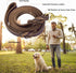 Guiding Star 5ft Leather Dog Leash and Collar Set, Soft Braided Leather Leash with Adjustable Collar for Small Medium