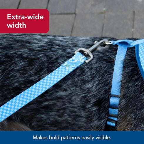 Coastal Pet Sublime Dog Leash, Fashionable Dual-Pattern Design, Colorful Trendy Pattern, Blue Waves with Blue Checkers,