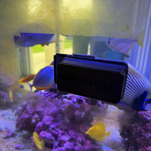Mag-Float Small Black Stealth Glass Magnet Aquarium Scraper Cleaner with Blade - Floating Magfloat Magnetic Cleaning
