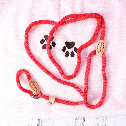 POPETPOP Nylon Dog Slip Training Leash Collar Rope for Pets, Red