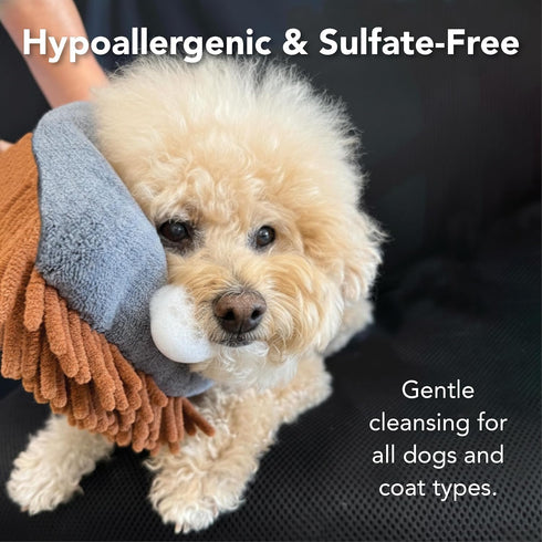 Pride and Groom THE MITT KIT: A Waterless Bath for Dogs - Foaming Dry Shampoo and a Pet Sensitive Glove for a Rinse