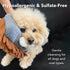 Pride and Groom THE MITT KIT: A Waterless Bath for Dogs - Foaming Dry Shampoo and a Pet Sensitive Glove for a Rinse