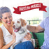 Nature's Miracle Dog Stain and Odor Remover, Safe for Pets and Home