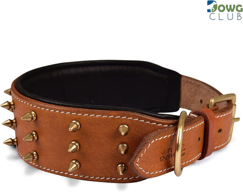 Genuine Leather Spike Dog Collar, Heavy Duty, Full Grain, 2" Wide, Brown with Gold Spikes (L, 18.5"-22.5")