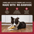 2 Count Earth Animal No Hide Chews - Long Lasting Rawhide Free Medium Dog Chews Rolls, Beef