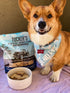 Frozen 14oz Tucker's Raw Freeze Dried Raw Dog Food, Pork, Bison & Pumpkin Formula