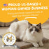 2 Pack Hide & Scratch Cat Scratcher Pad | Double-Sided Cardboard Refills for Our Scratching Box | Reversible Corrugated