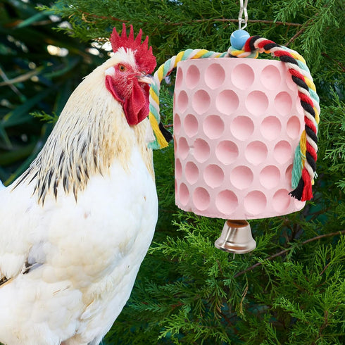 Oooct Large Chicken Chewing Toy, Chick Beak Grinding Calcium Stone with Bells, Chicken Coop Accessories, Cage Toys