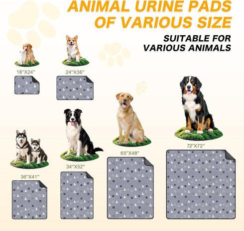 X.P.Made 65"x48", Washable Pee Pads for Dogs Extra Large Reusable Puppy Pads, Waterproof Pet Pee Pads for Dog Potty