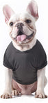 Star Wars for Pets Darth Vader Dog Tee - Soft, Cute Dog Shirt for Large Dogs, Size Large