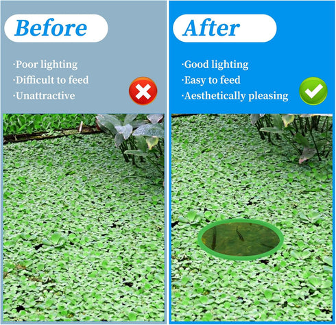 5pcs Aquarium Floating Plant Rings, Foam Fish Feeding Ring for Intercepts Floating Plants (Green)