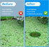5pcs Aquarium Floating Plant Rings, Foam Fish Feeding Ring for Intercepts Floating Plants (Green)