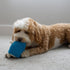 SPOT Gigglers Hedgehog Dog Toy with Giggle Sound | Textured, Plush Shake and Wiggle Hedgehog Giggle Toy for Small