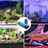 MagTool Submersible Aquarium Heater 100-1200W, Fish Tank Heater with Digital Controller, Over-Temperature Protection
