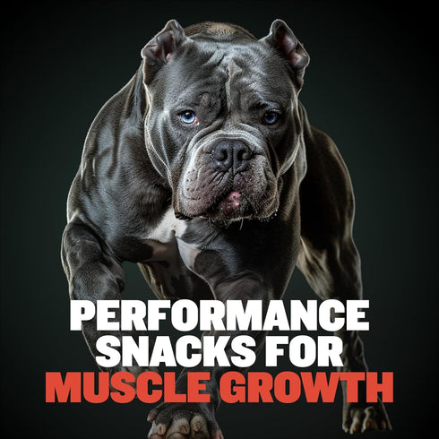 32% (2 Pack) Bully Max Premium High Protein Dog Treats for Puppy & Adult Dogs - Training Dog Food Treats with Protein