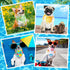 72 Pack Summer Reginary Bandanas - Triangle Scarf Bibs for Dogs - Adjustable Dog Bandana for Pet Costume Accessories