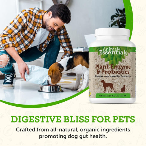 Animal Essentials Plant Enzyme & Probiotics - Digestive Supplement for Dogs & Cats, 10.6 Oz