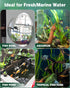 Pawfly Aquarium Ammonia Test Strips, 150 Accurate Test Strips with Test Tube for Fish Tank Water Testing