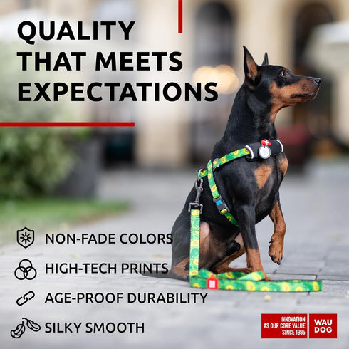WAUDOG Nylon Dog Leash for Small Medium Dogs | 4 Ft Strong Heavy Duty Leash for Large Breed Dogs