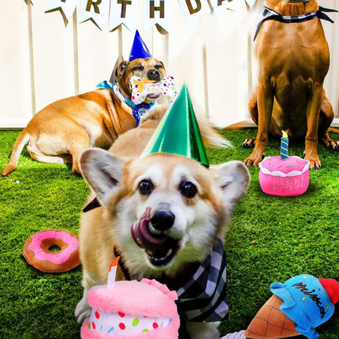 DoreenBow 5 Pack Dog Birthday Toys - Squeaky Birthday Cake Chew Toys for Small Dogs - Plush Birthday Box Gift