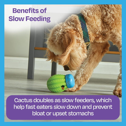 Brightkins Cactus Surprise Treat Dispenser, Dog Birthday Toy, Treat Dispenser for All Breeds, Medium