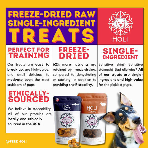 HOLI Freeze Dried Rabbit Treats for Dogs, All Natural Healthy Treats, 100% Made in USA, 1.75 oz