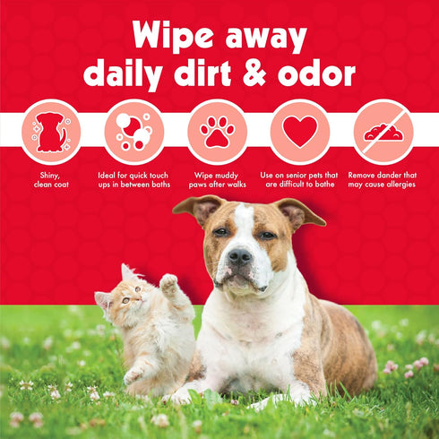 Petkin Pet Wipes for Dogs and Cats, 100 Large Wipes for Dirt & Odor Removal, Ideal for Home or Travel