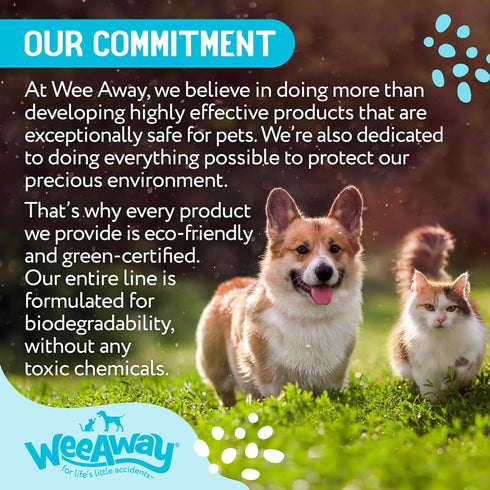 X2 Ultra Concentrated Pet Stain and Odor Remover Spray, Enzyme Cleaner for Dog Urine, 16 oz (Ocean Breeze)