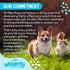 X2 Ultra Concentrated Pet Stain and Odor Remover Spray, Enzyme Cleaner for Dog Urine, 16 oz (Ocean Breeze)