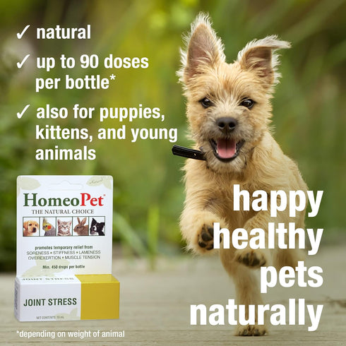 HomeoPet Joint Stress, Joint Support for Dogs and Cats, 15 Milliliters