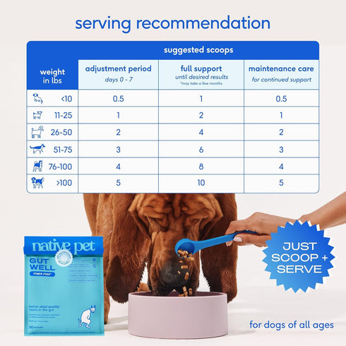 60 Native Pet GutWell Power Poop - Digestive Support & Fiber for Dogs - Promotes Healthy Stools, Supports Balanced
