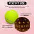 Dog Diggin Designs Runway Pup Collection - Unique Squeaky Parody Plush Dog Toys, Prêt-à-Porter Dog Bones, Balls & More