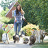 18 Pieces Slip Leads Dog Leash - 6 Feet Pet Rope with O-Ring for Small, Medium & Large Dogs for Grooming and Training