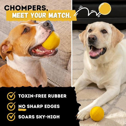 Indestructible Dog Ball, Lifetime Replacement for Medium & Large Breeds, Ultra Durable Natural Rubber - 3in Yellow