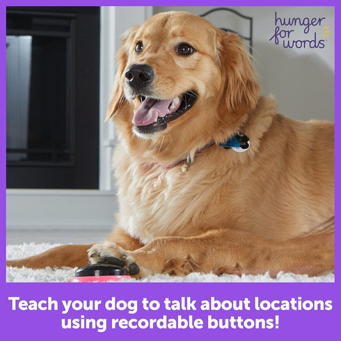 Hunger For Words Talking Pet Next Words Locations - 3 Piece Set of Recordable Speech Buttons for Dogs, Dog Buttons for Communication