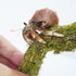 25 Inch Hermit Crab Climbing Toys, Bendable Supplies for Ideal Hermit Crab Habitat Tank Terrarium Accessories