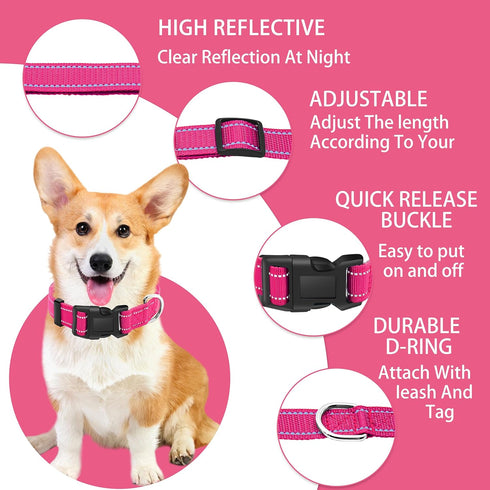 Reflective Dog Collar with Safety Locking Buckle, Adjustable Soft Nylon for Small Medium Large Dogs (M, Hotpink)