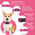 Reflective Dog Collar with Safety Locking Buckle, Adjustable Soft Nylon for Small Medium Large Dogs (M, Hotpink)