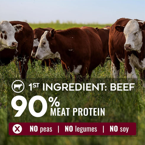 100% 12 lbs Natures Logic Pure Naturals Natural Beef Recipe Synthetic-Free Dry Dog Food